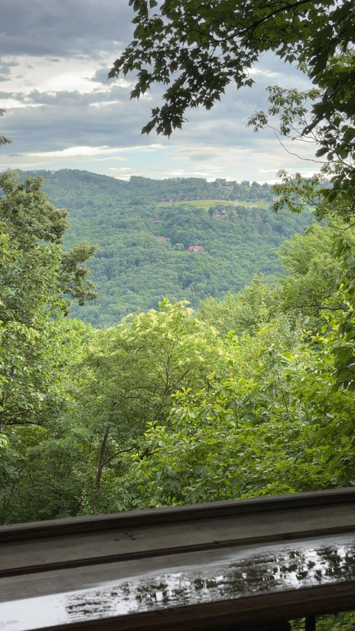 View from the back deck! 