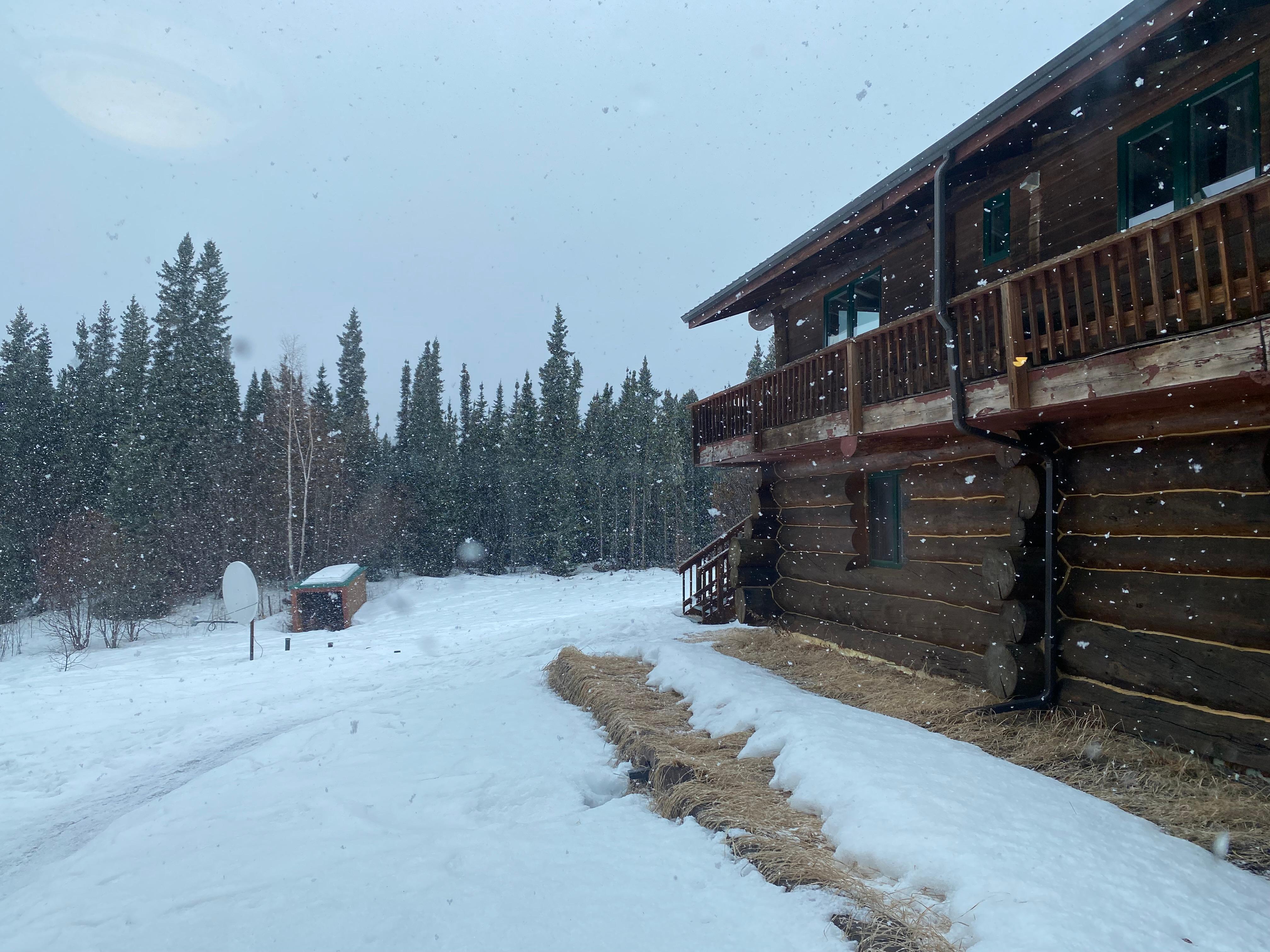 Beautiful log structure 