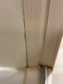 Moldy shower