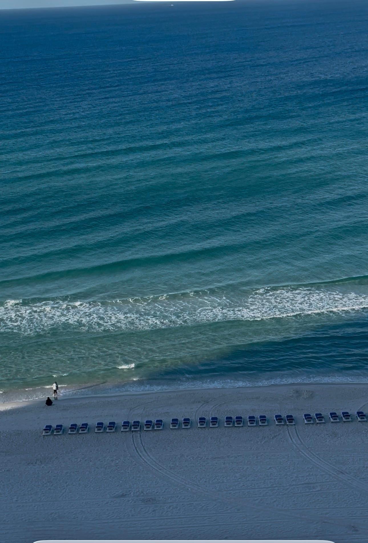 Still from early morning video on deck.  