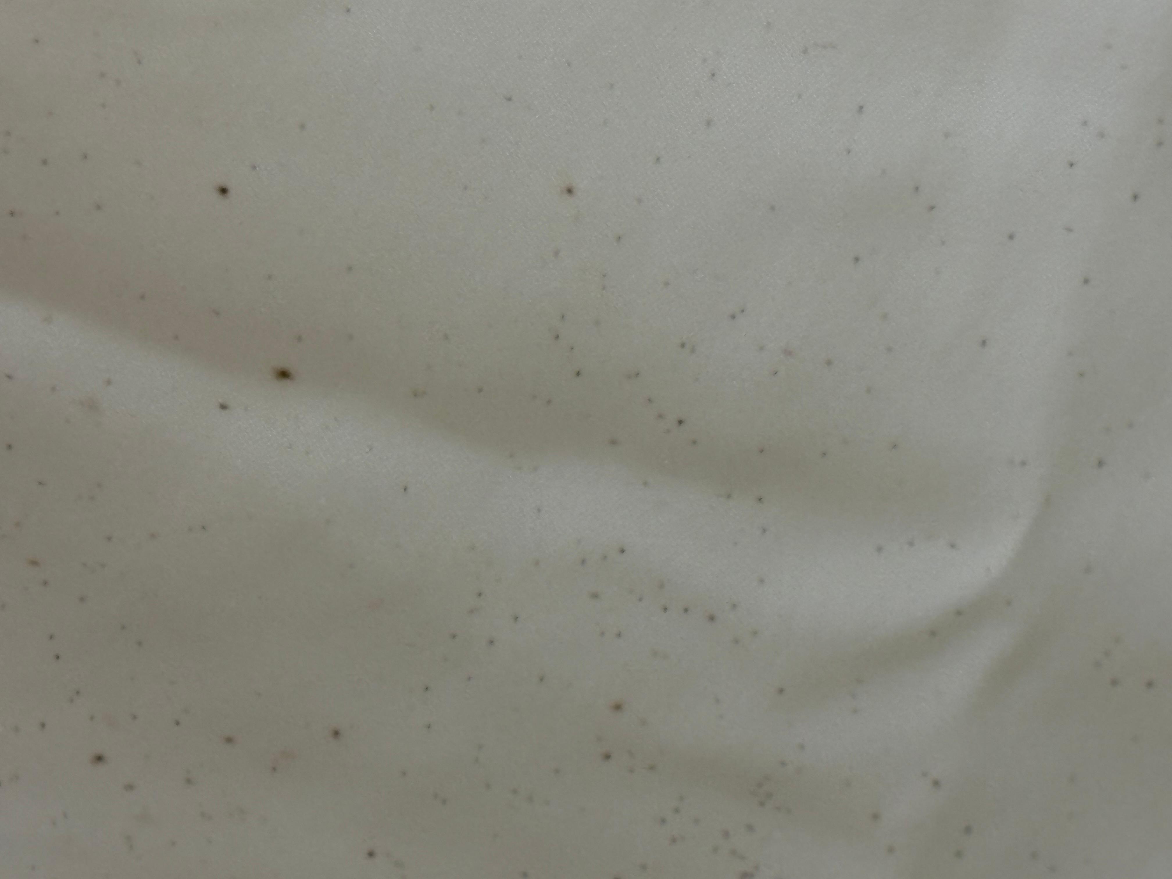 Mold on shower curtain