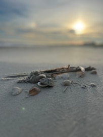 Beach in the morning