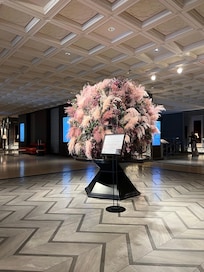 Entrance to reception