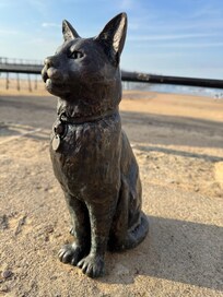 Hendrix the seaside cat statue