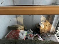 La vue de notre chambre ! Impossible de laisser le rideau ouvert.