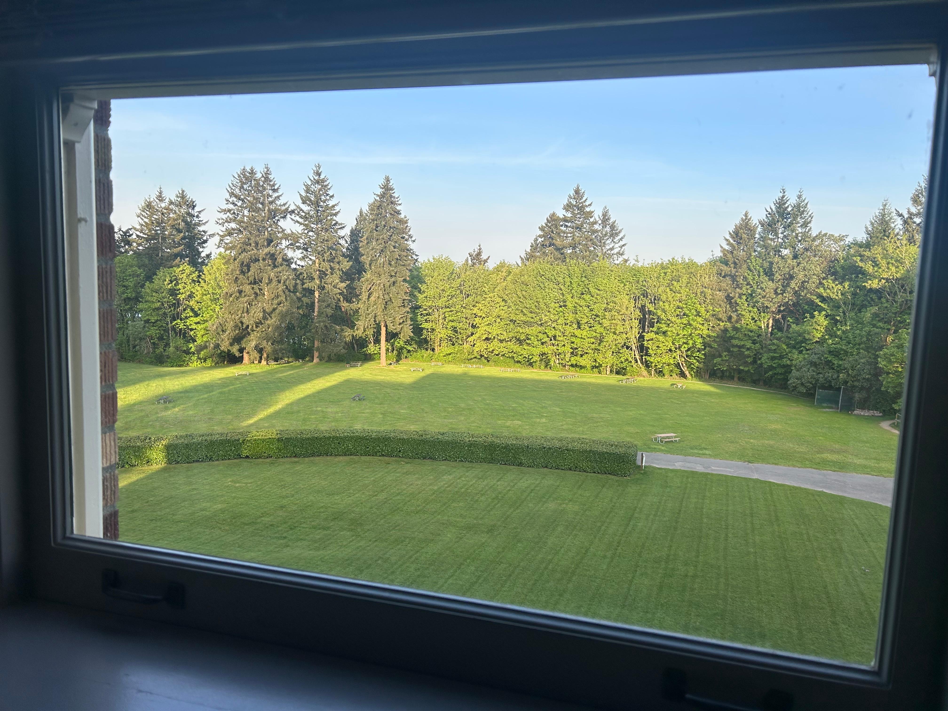 Picture from my room window 
