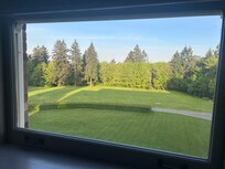 Picture from my room window