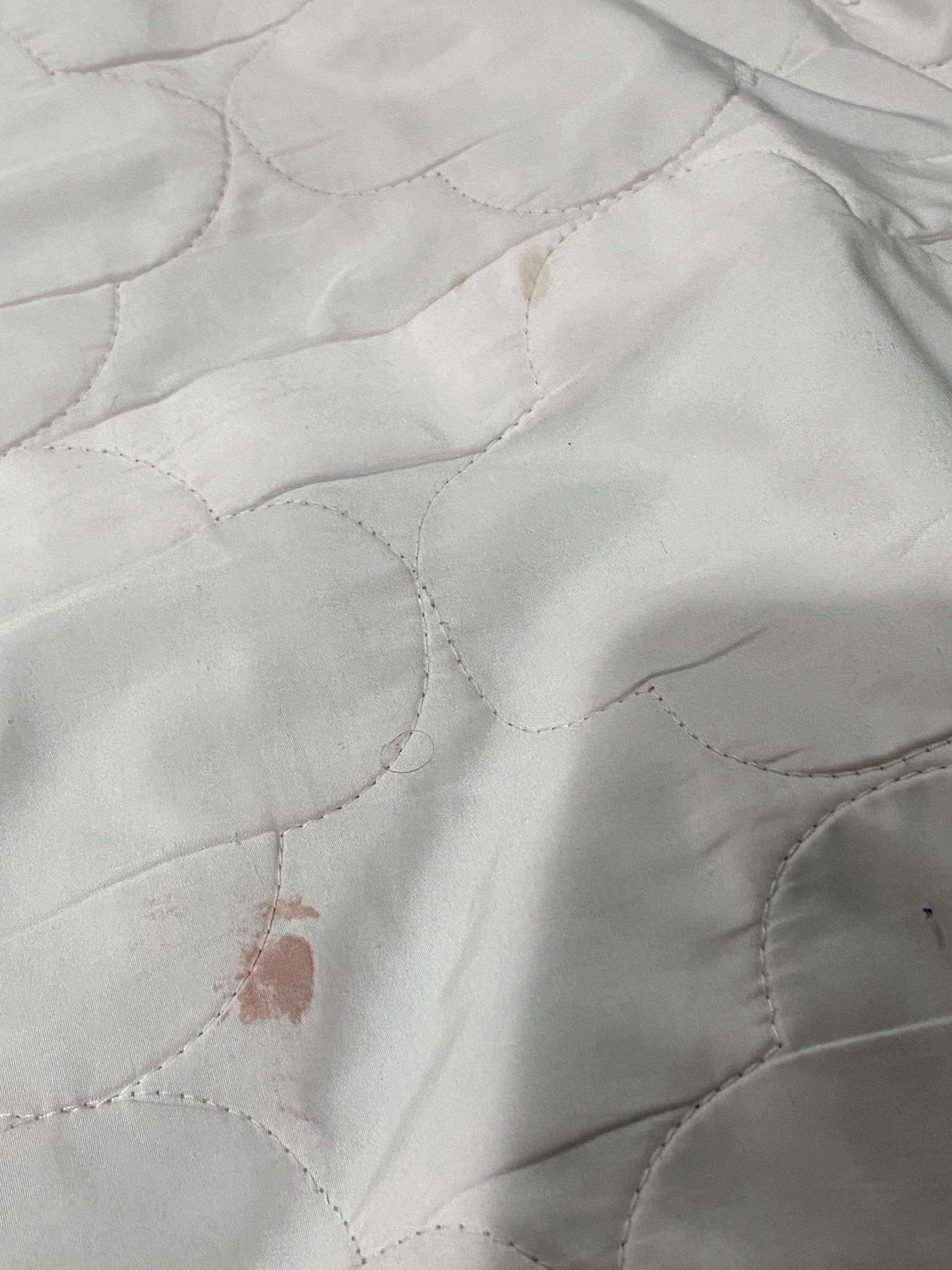 Looks like blood stains