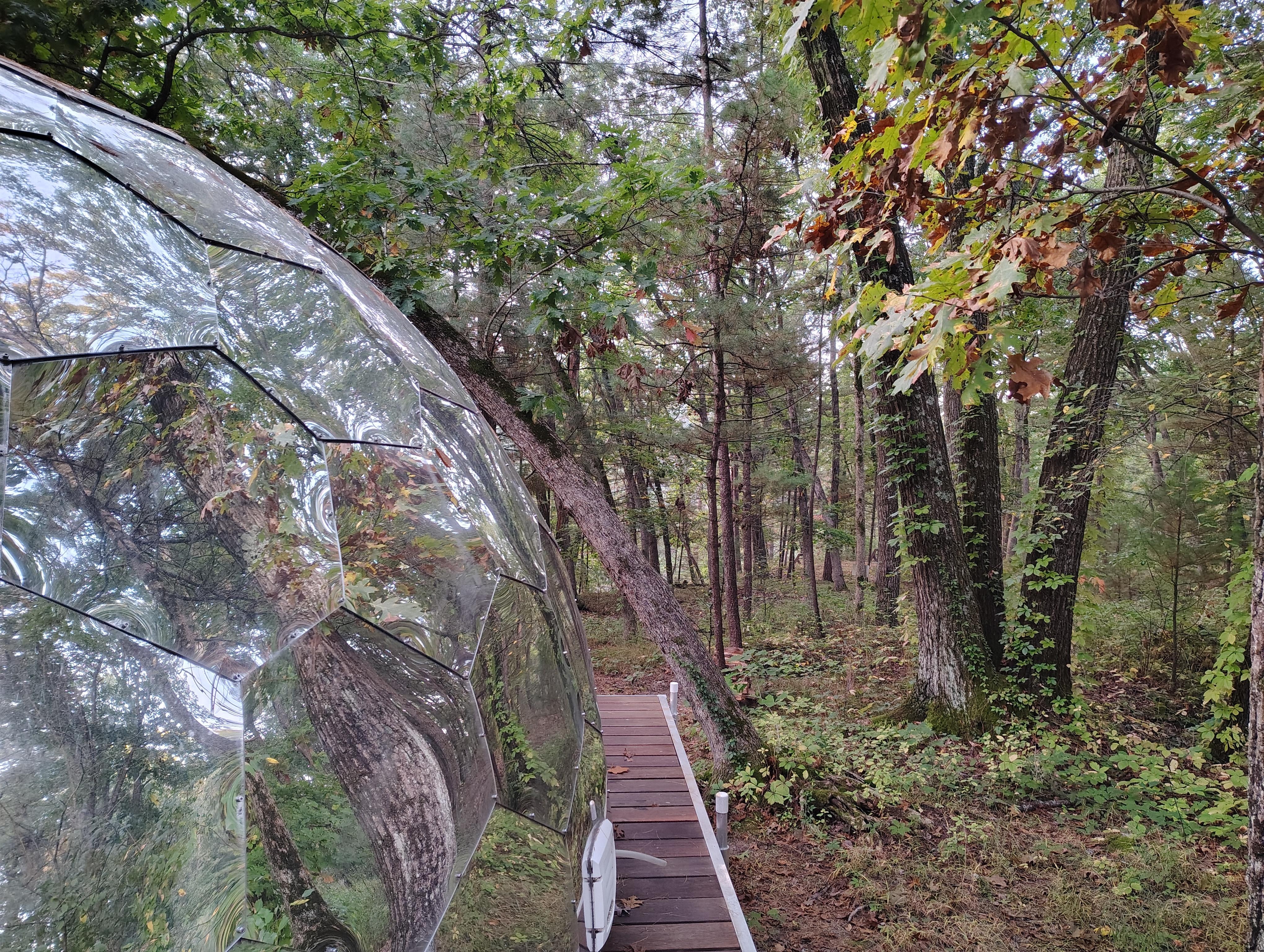 Side view from Dome to back view into woods
