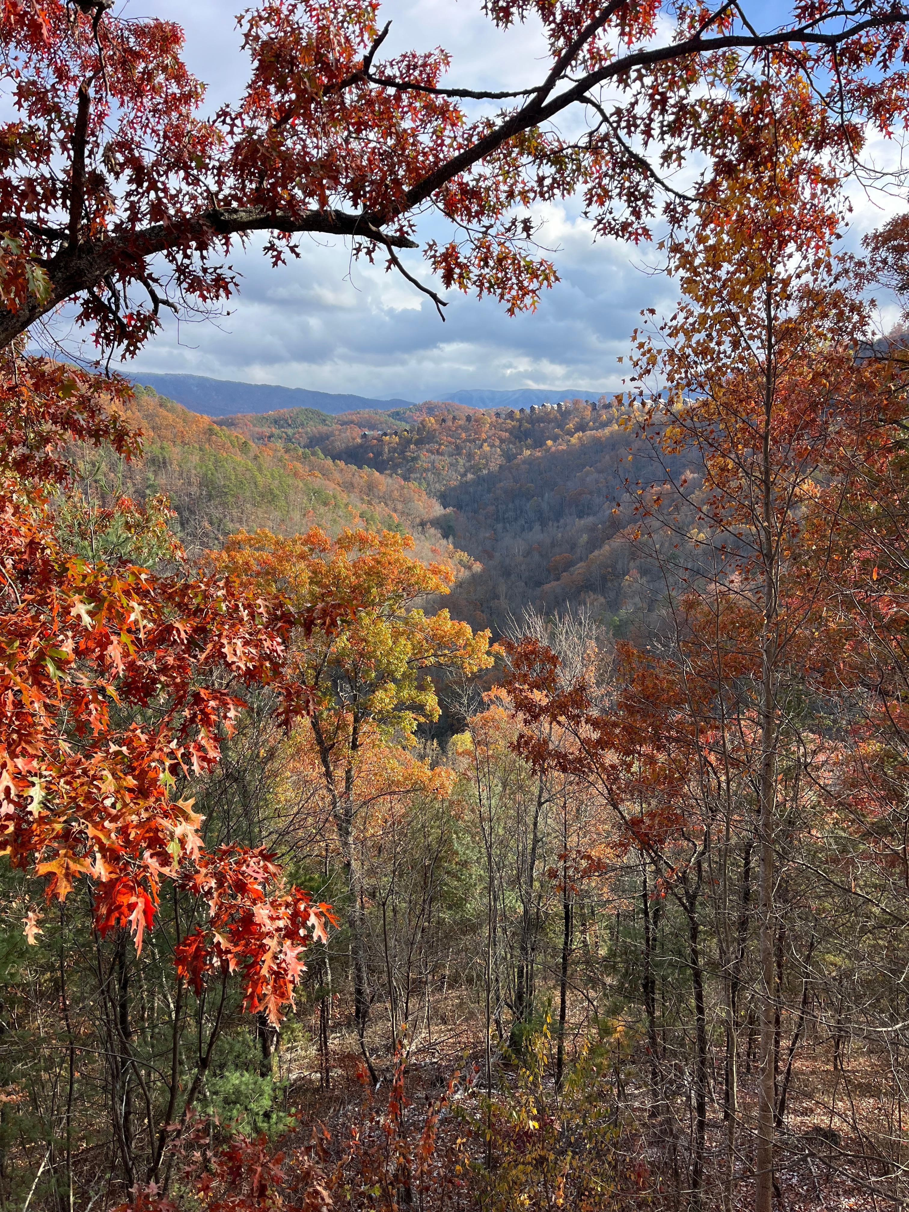 God’s water colors.  Beautiful fall foliage 