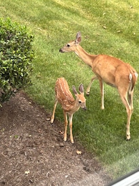 Cocktails on the floating dock