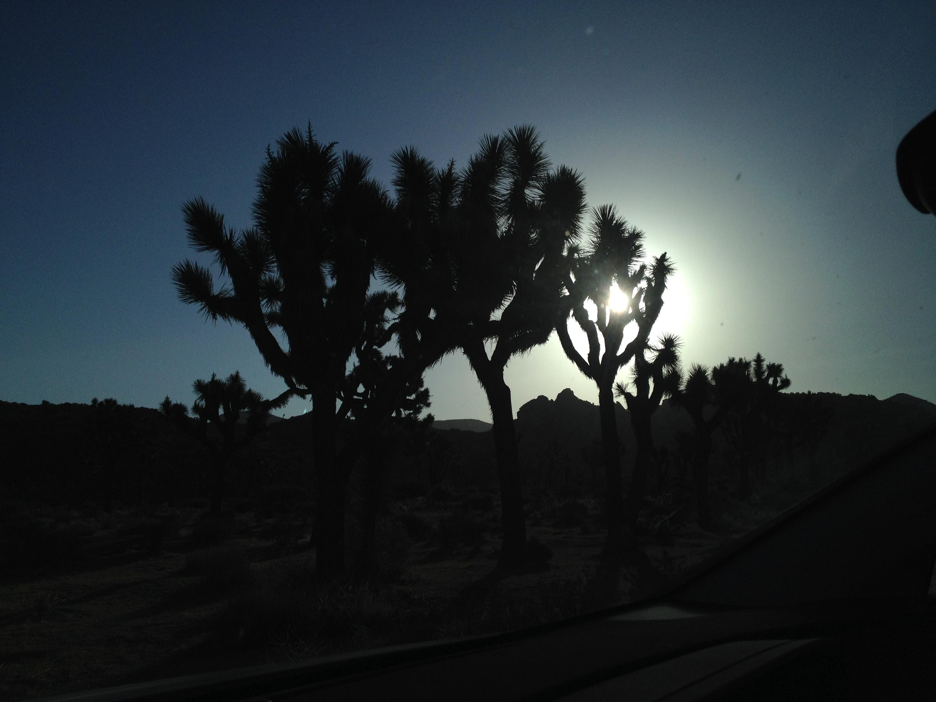 JTNP during windstorm