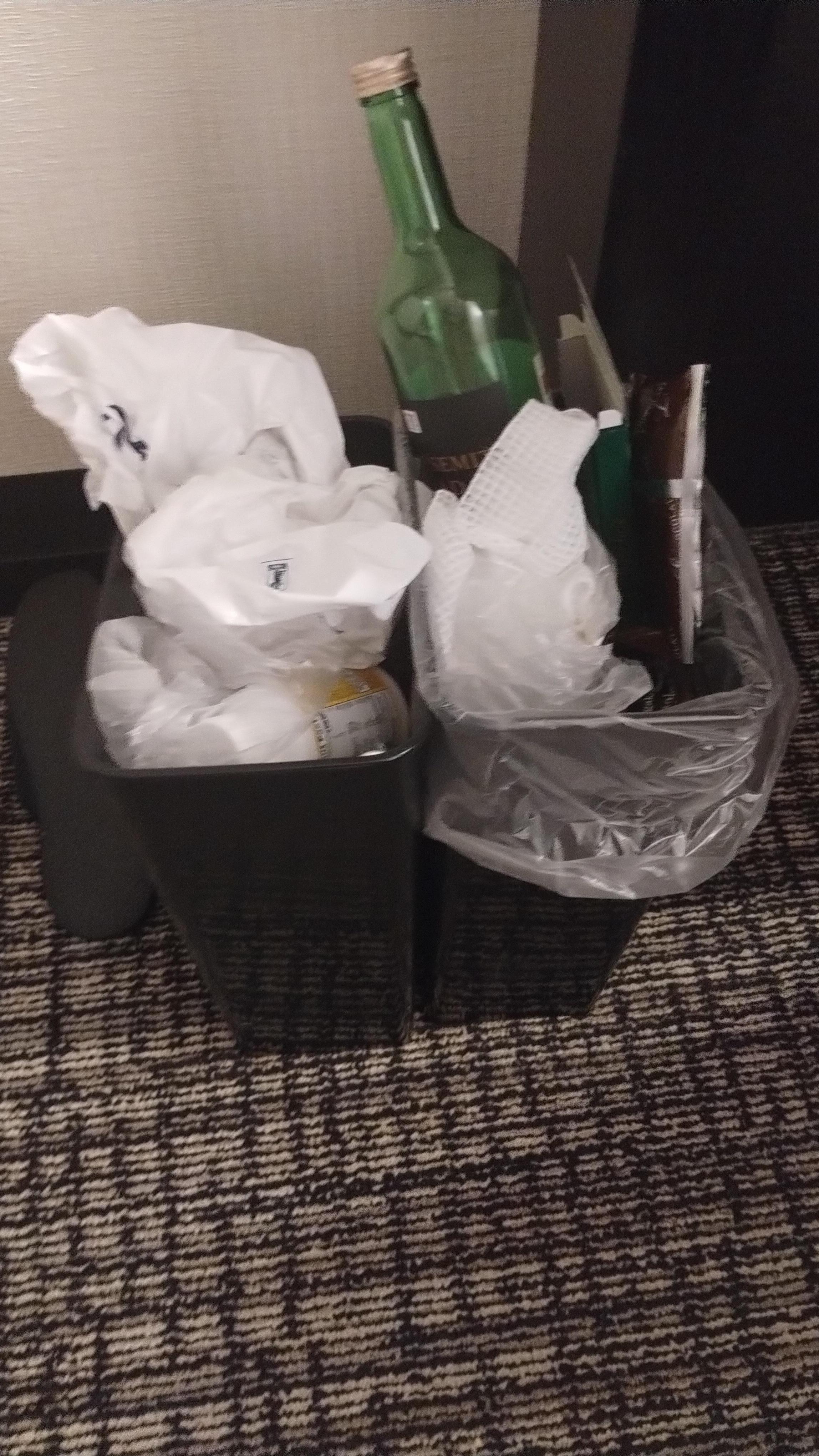 3 days of no servicing, not even to empty the trash!