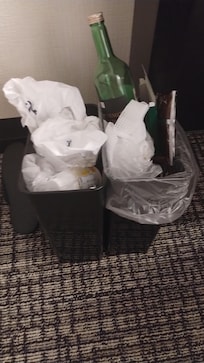 3 days of no servicing, not even to empty the trash!