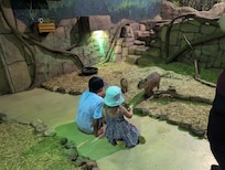 Mall near by with a cool indoor zoo!! Grands LOVED it!!