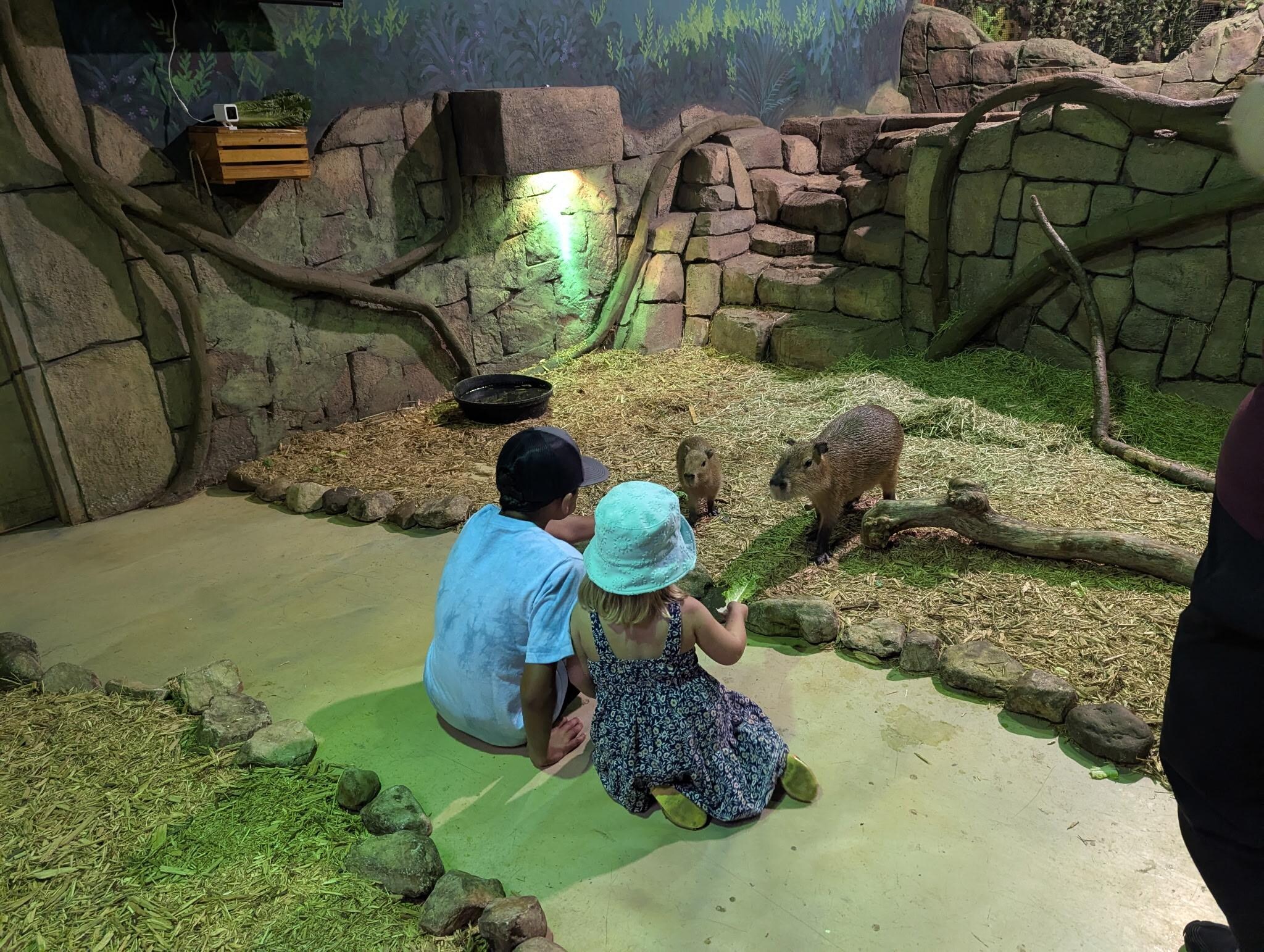 Mall near by with a cool indoor zoo!! Grands LOVED it!!