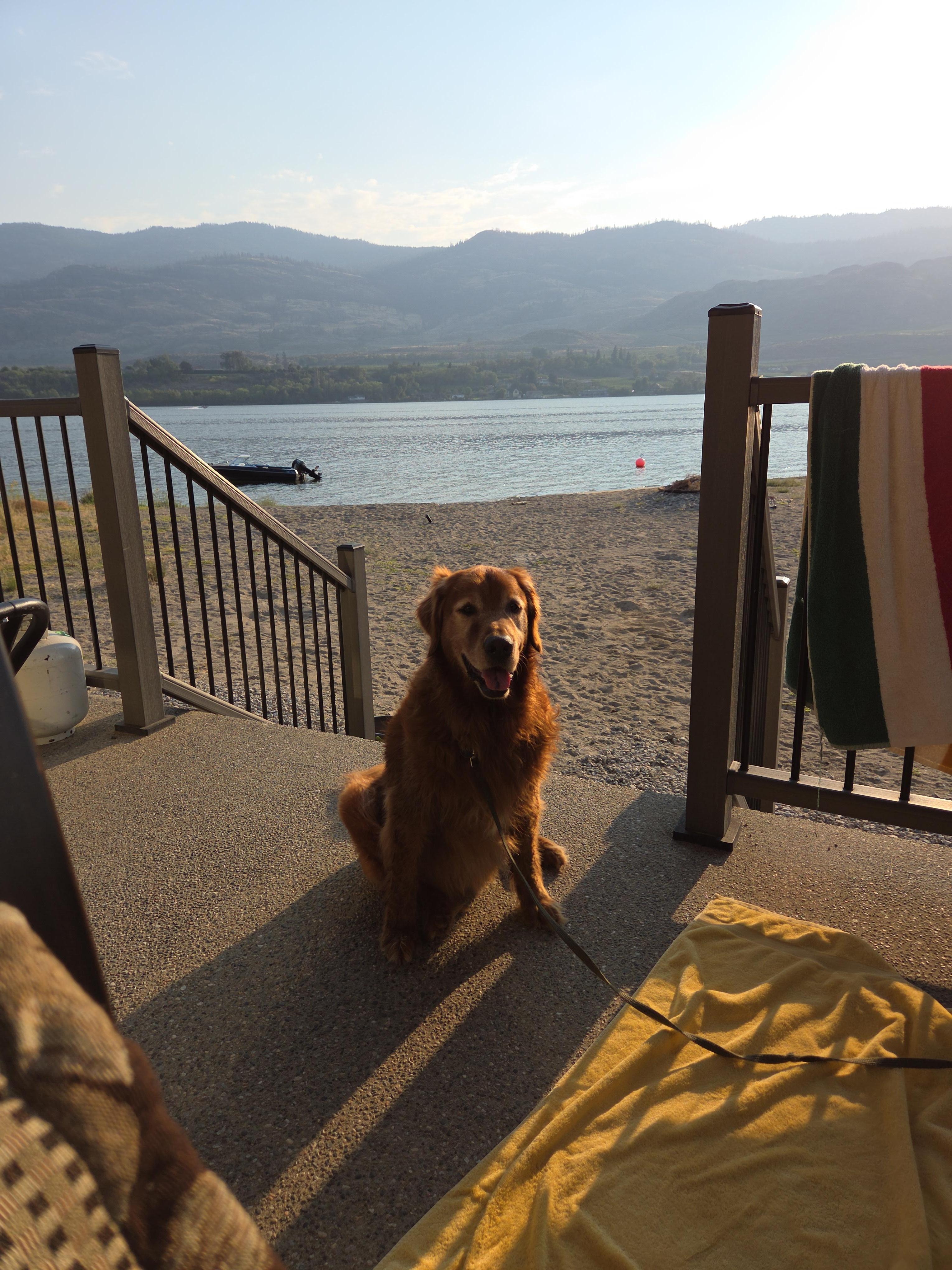 The beach is right there