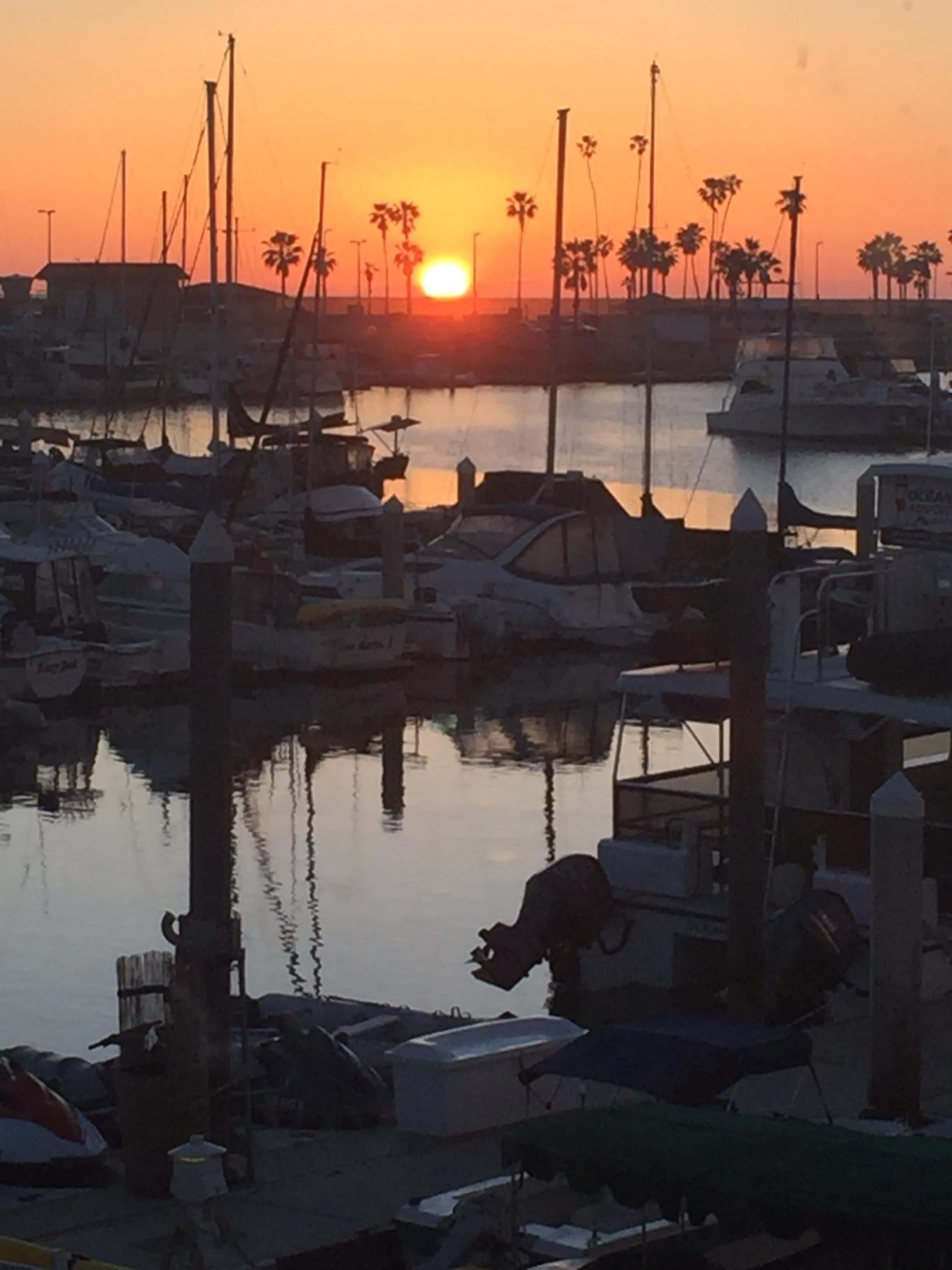 From the Lighthouse Oyster Bar