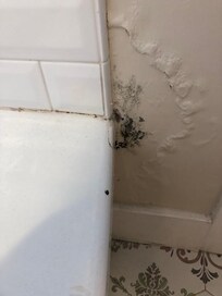 Black mold on wall very unsafe