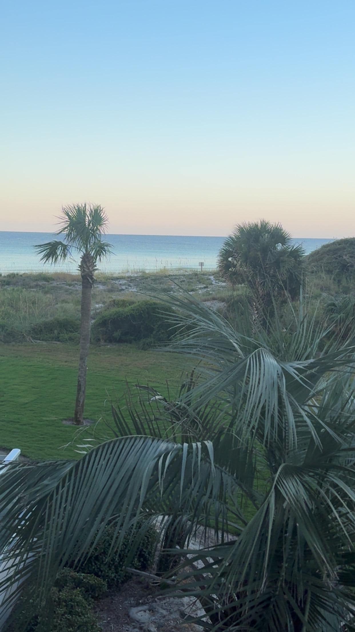 View from the balcony. 