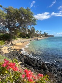 This is the small beach area you can lounge or swim/snorkel