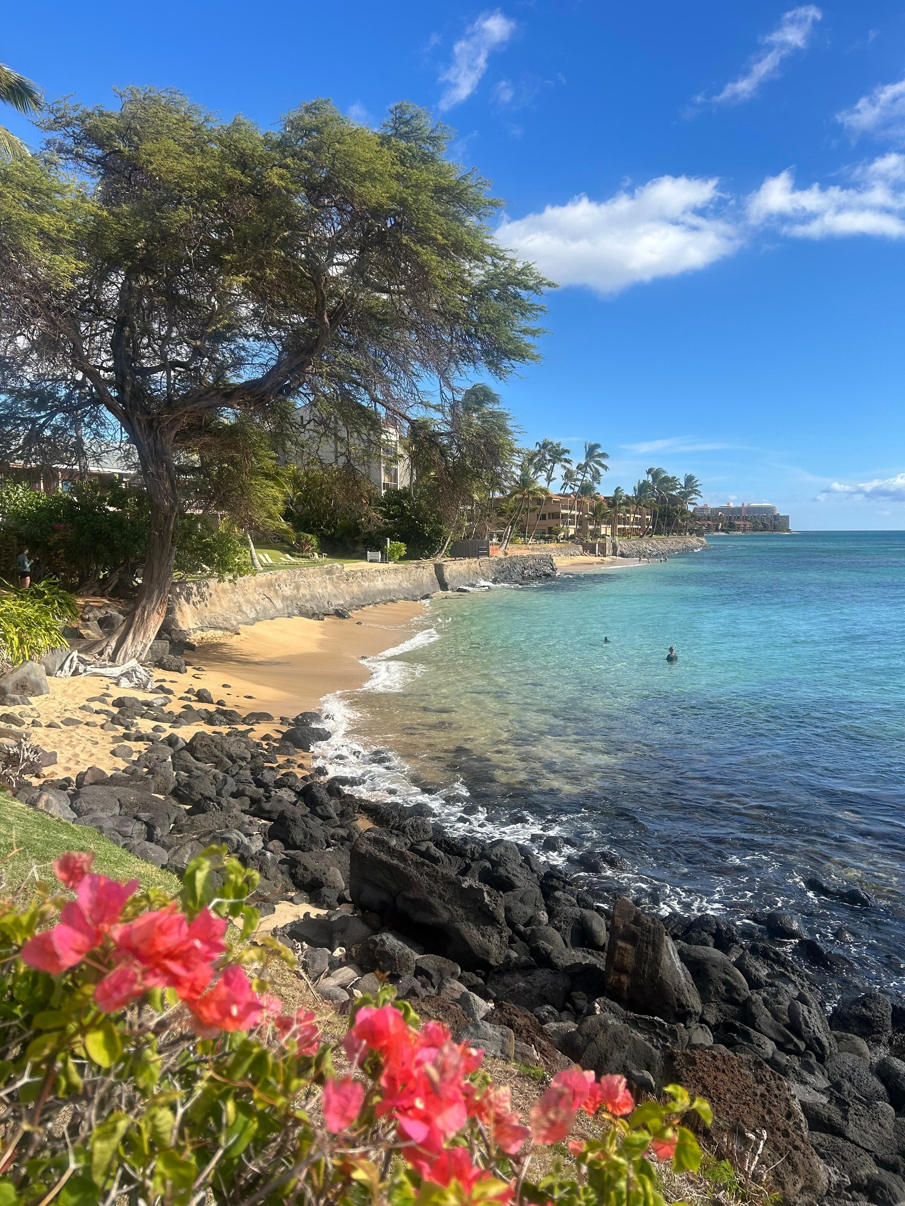 This is the small beach area you can lounge or swim/snorkel