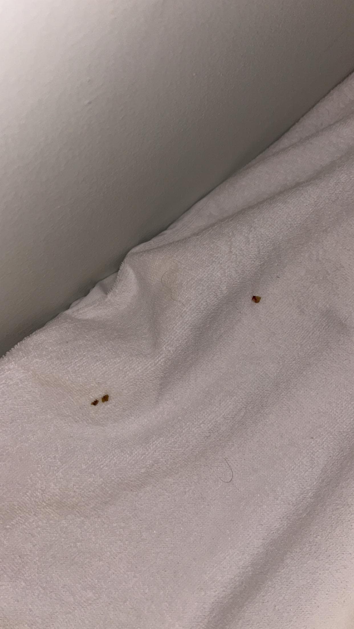 Top bunk blood stains 