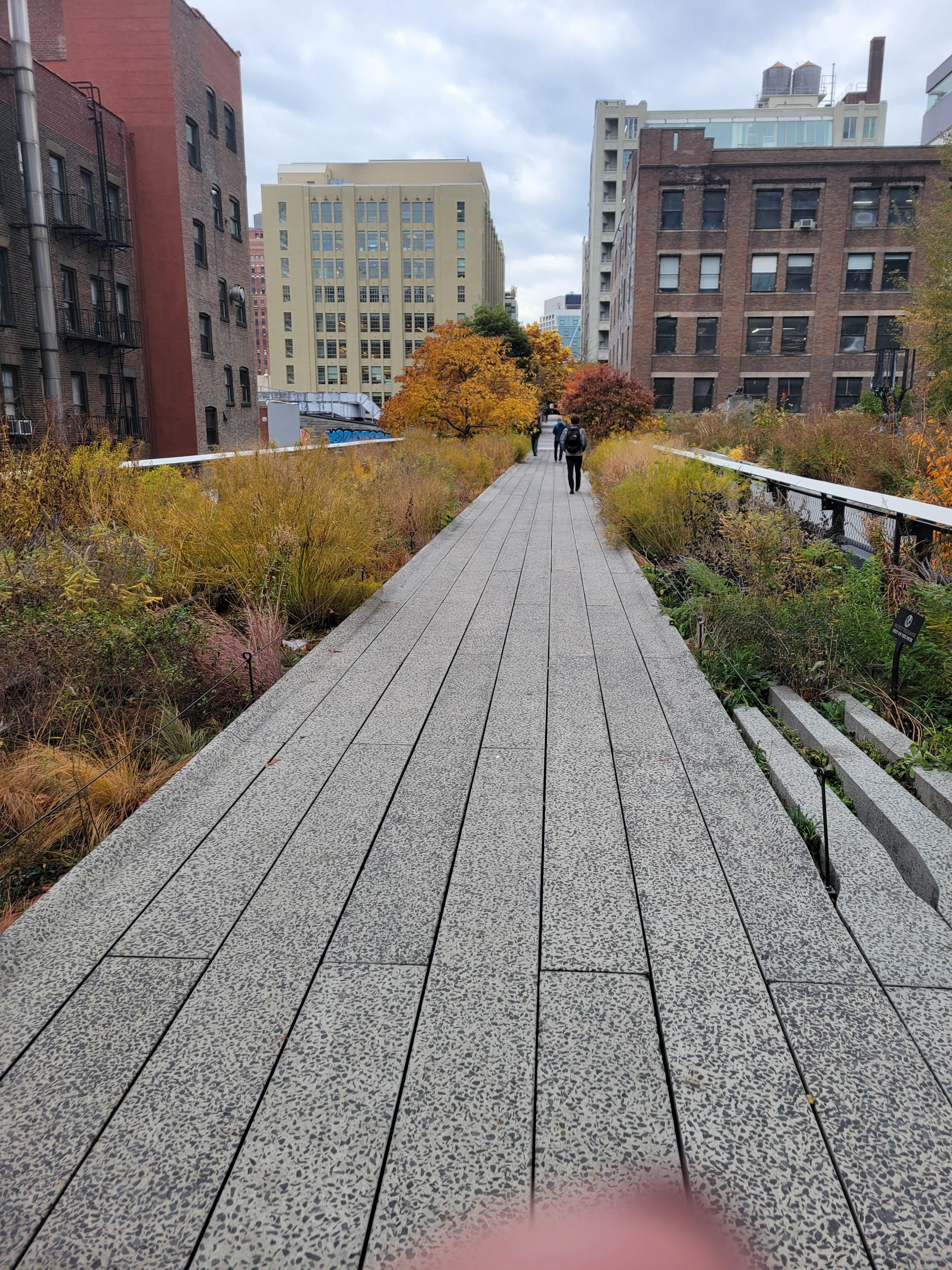 Walk the highline for morning exercise. 