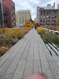 Walk the highline for morning exercise.