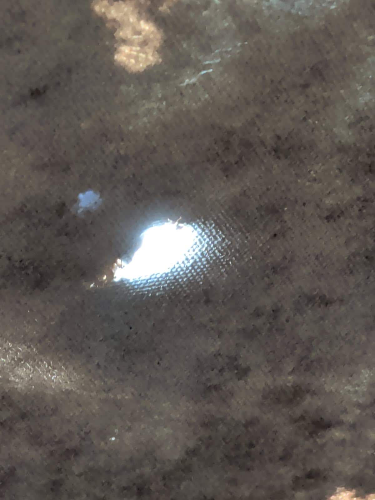 Holes in the TP and also mold