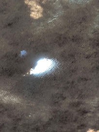 Holes in the TP and also mold