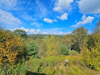 View from deck