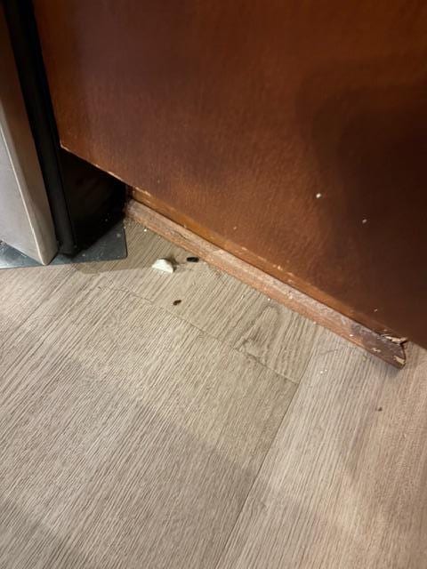 Food crumbs on the floor