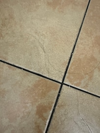 Hairs on floor