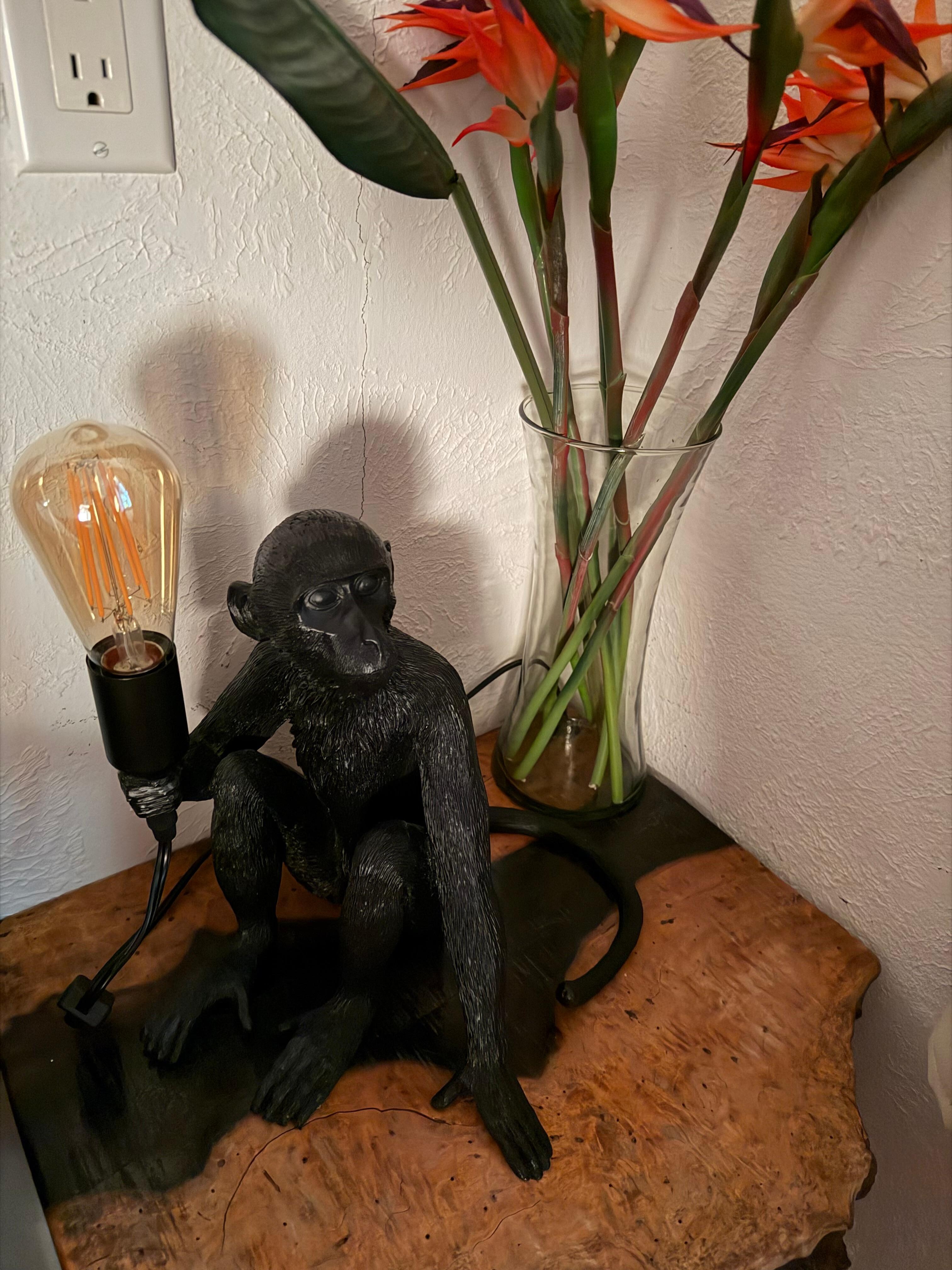 How can you not love a place that has monkey lights!