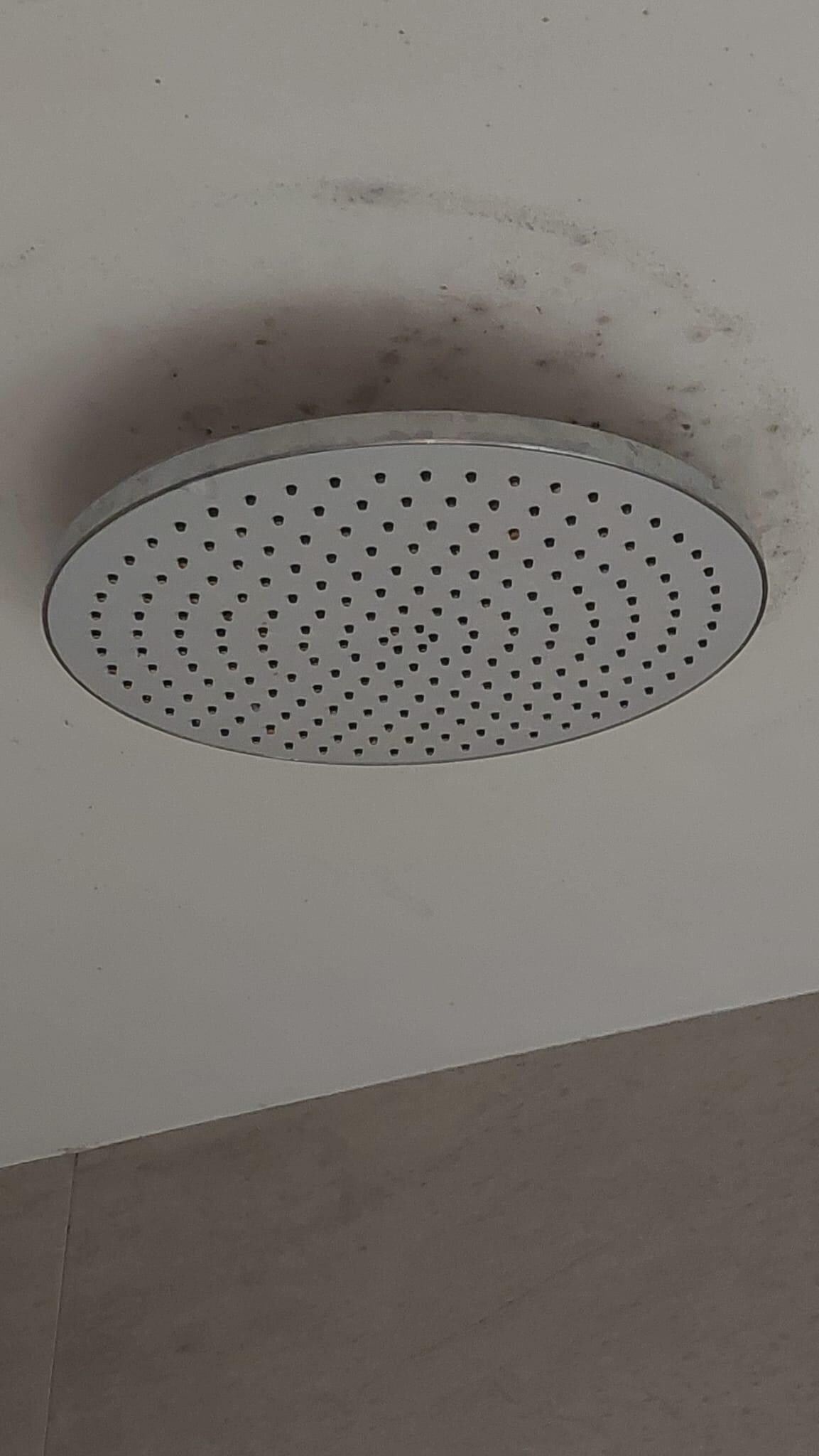Bathroom # 2, mold on ceiling around shower head.