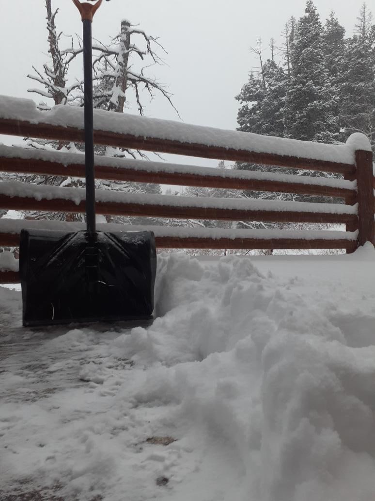 Woke up to some snow.