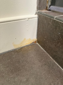 The baseboard was discolored and damaged.