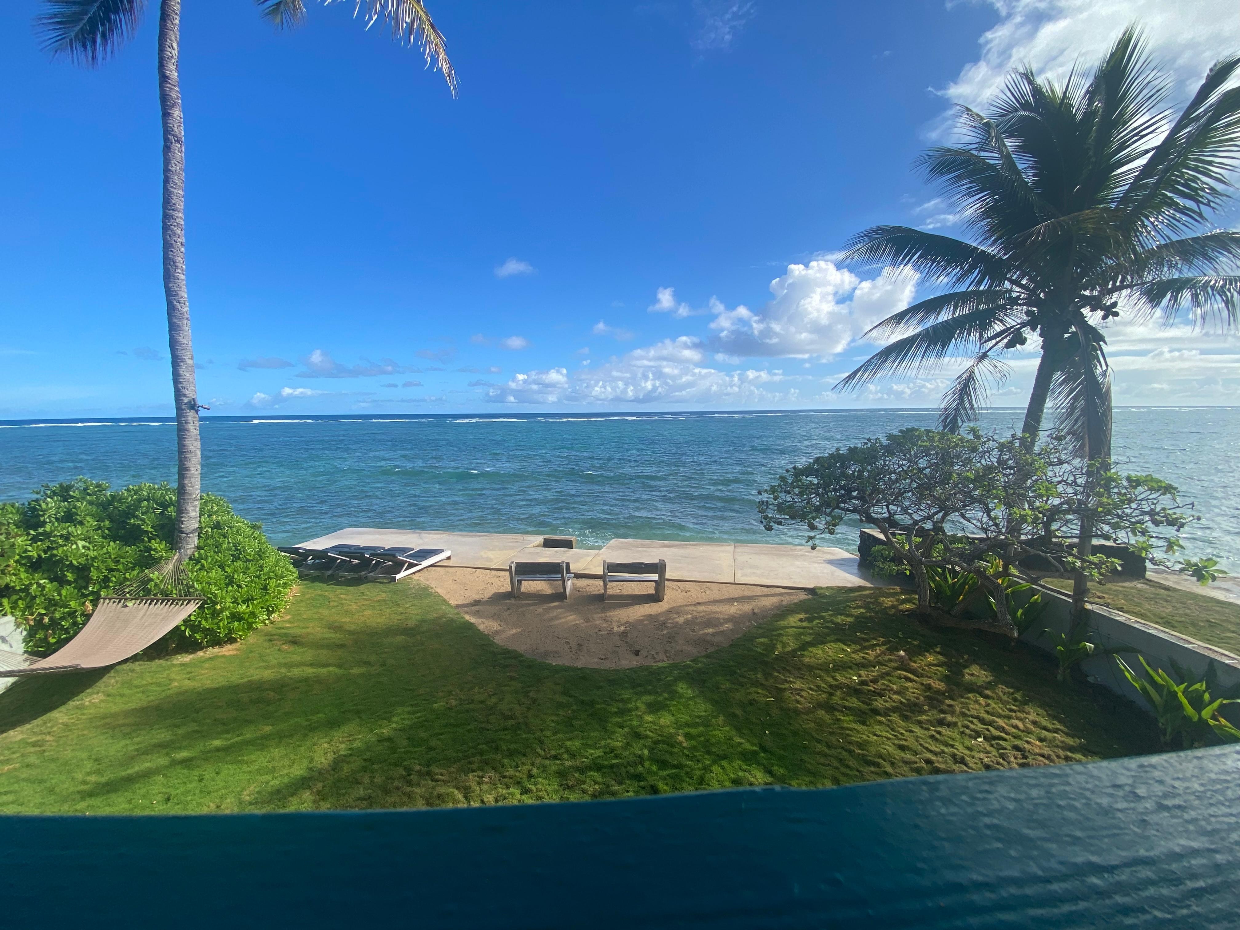 Stunning sea views with sea turtles 