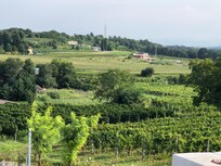 Prima colazione vista terrazza