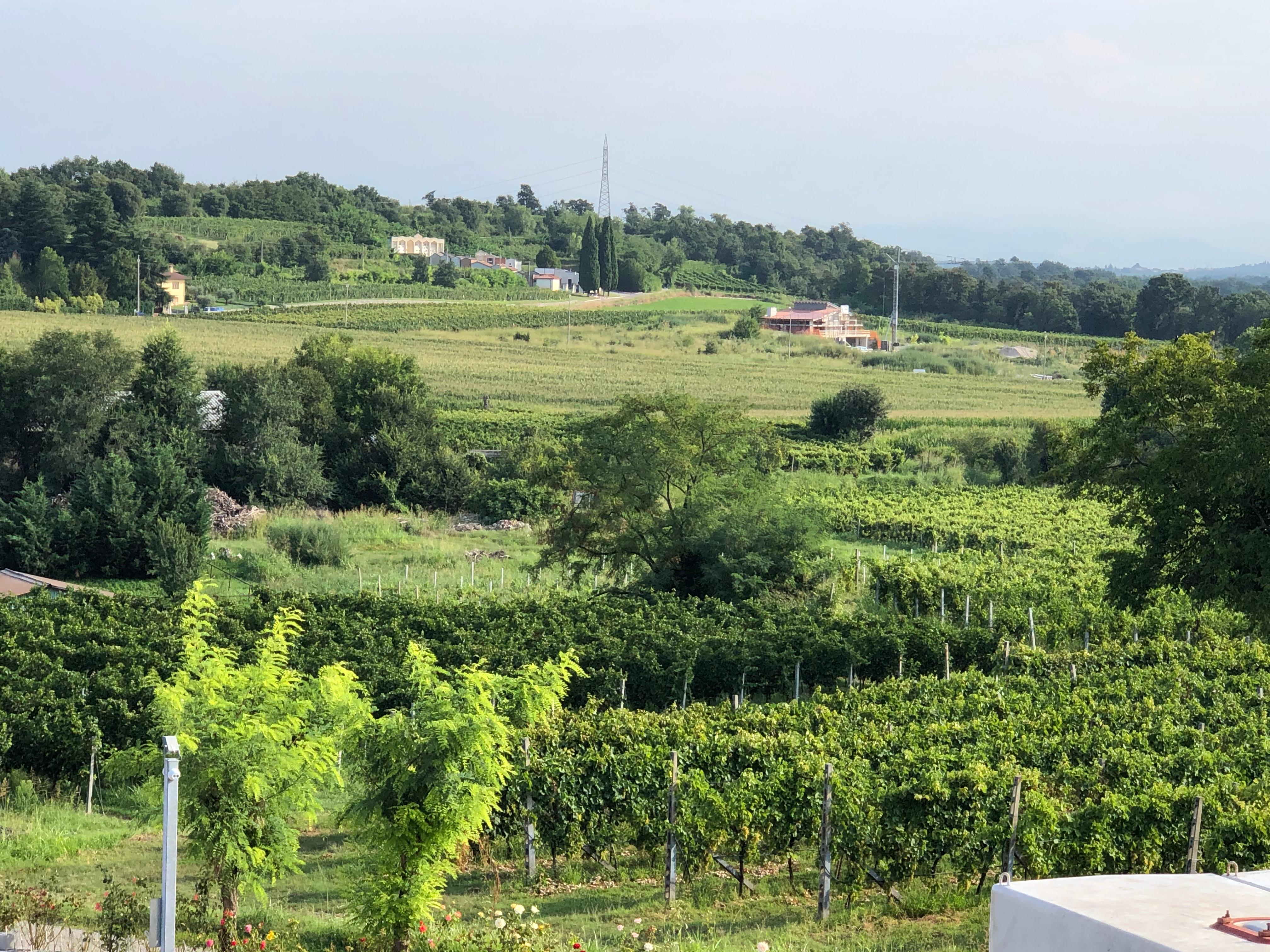 Prima colazione vista terrazza 