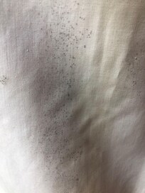 Mould in curtains
