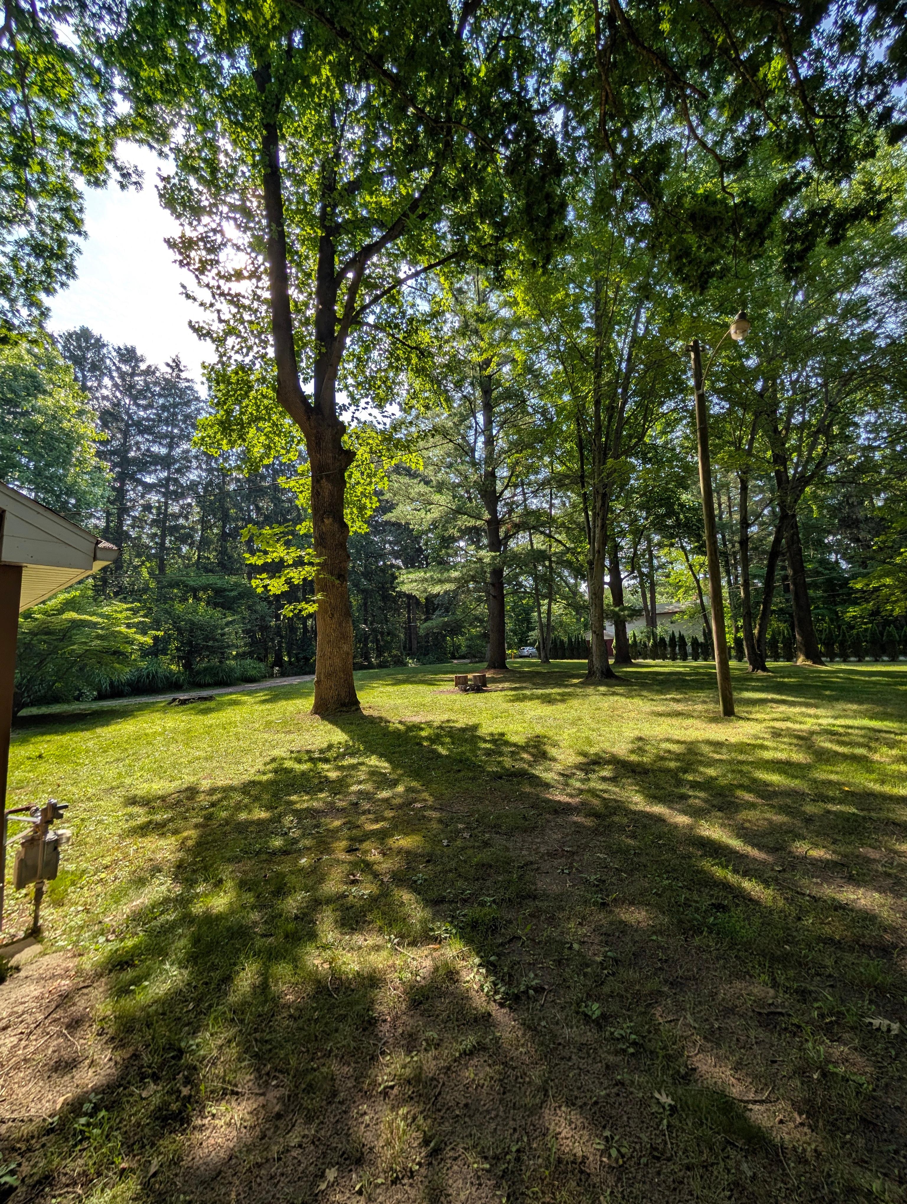 Part of the huge front yard, with the small firepit.