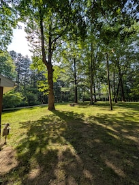 Part of the huge front yard, with the small firepit.