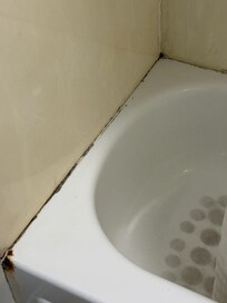 Mold completely around the tub along with dirt. Everything in disrepair.