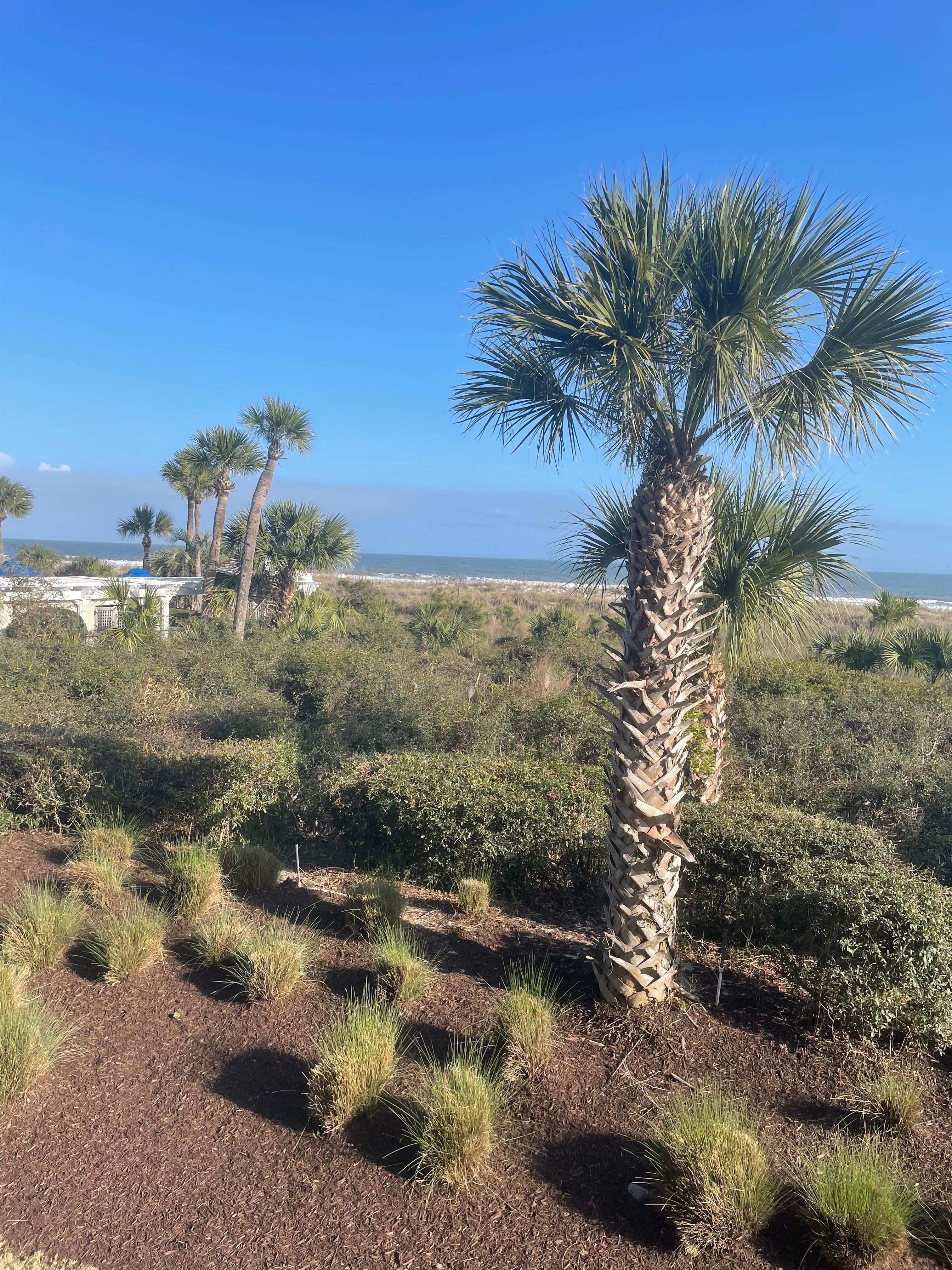 View from the balcony. 