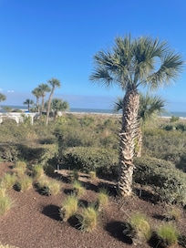 View from the balcony.