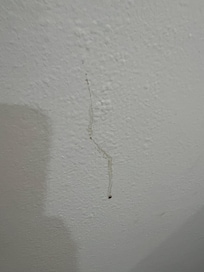 En la habitación