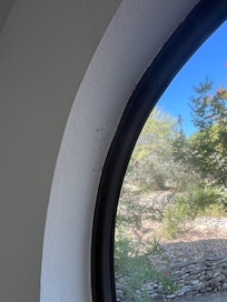 Bugs and cob webs in window
