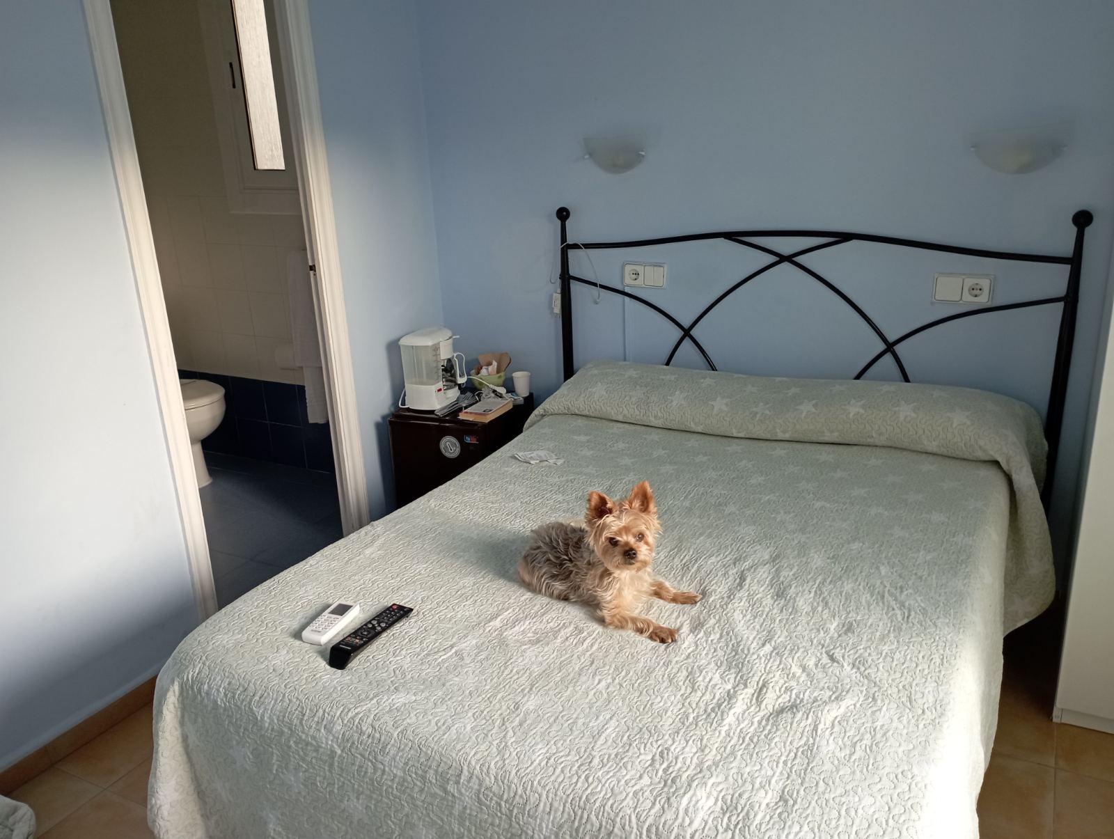 Lit tres confortable. Clim qui ne fait pas de bruit. Chambre propre avec une salle de bain tres fonctionnel avec une belle douche à l'italienne